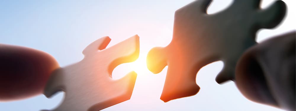 Optimum Financial Group expands its asset management activities in the US Optimum Financial Group expands its asset management activities in the US