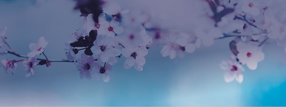 Gilles Blondeau Gilles Blondeau