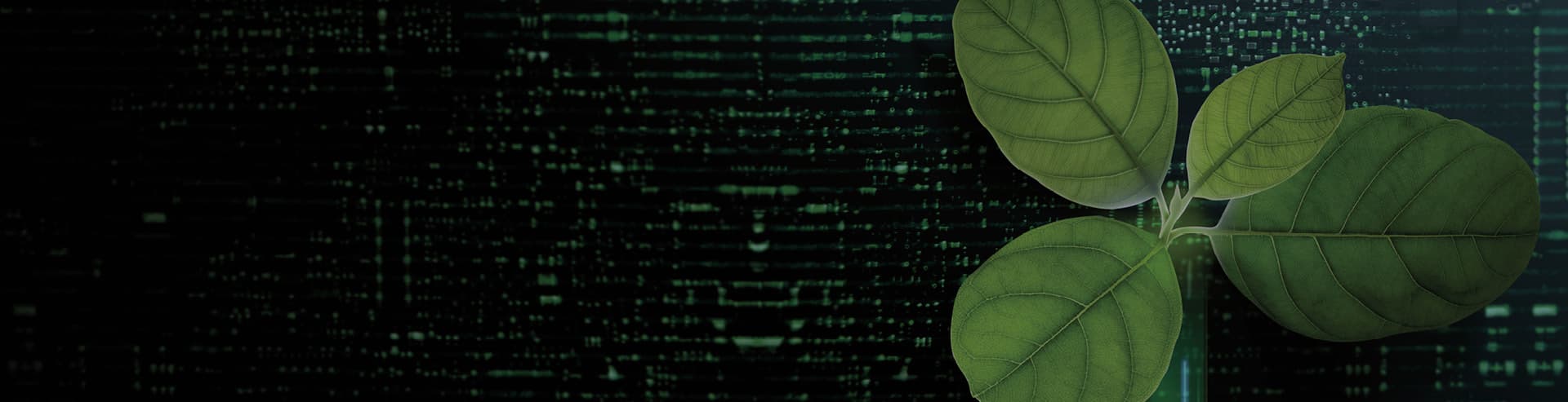 Optimum Financial Group has expressed interest in Finance Montréal’s Investi Fund Optimum Financial Group has expressed interest in Finance Montréal’s Investi Fund